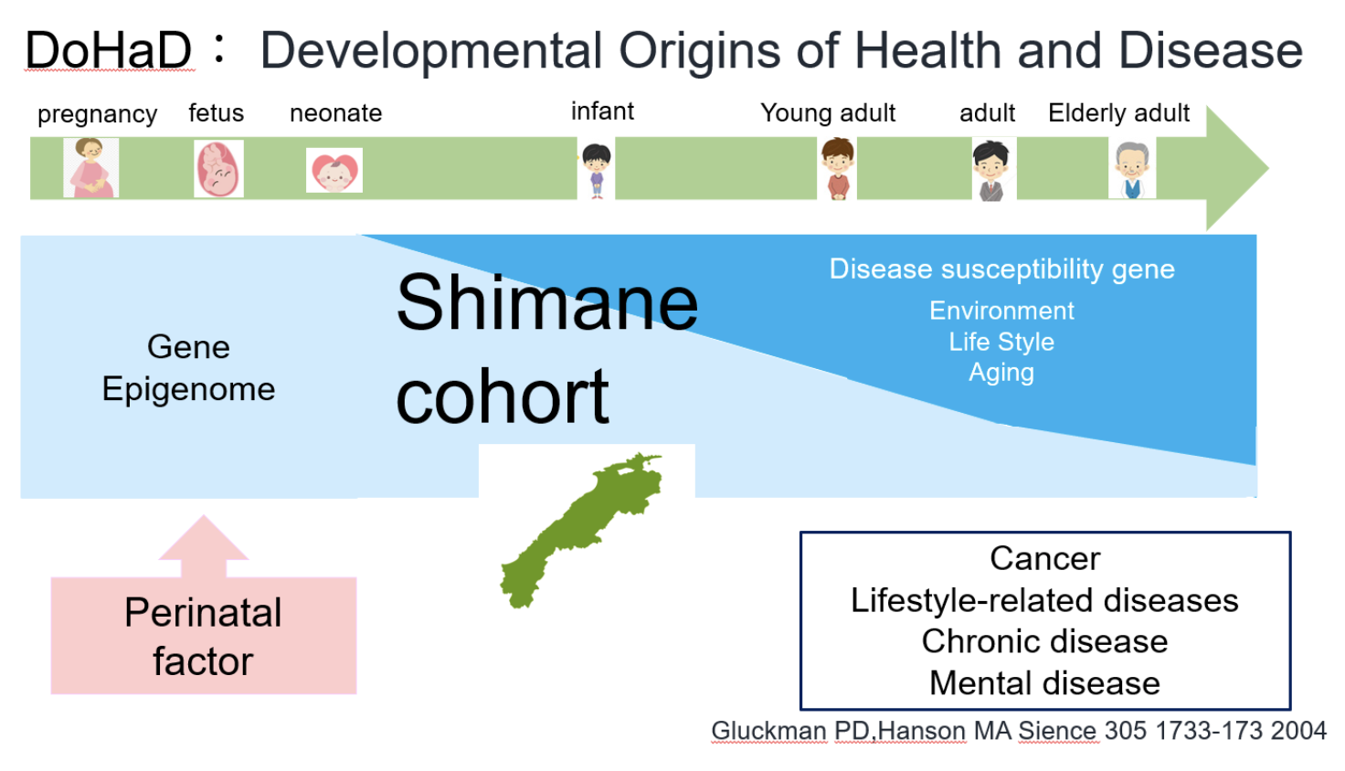 図1　DoHaDの概念図